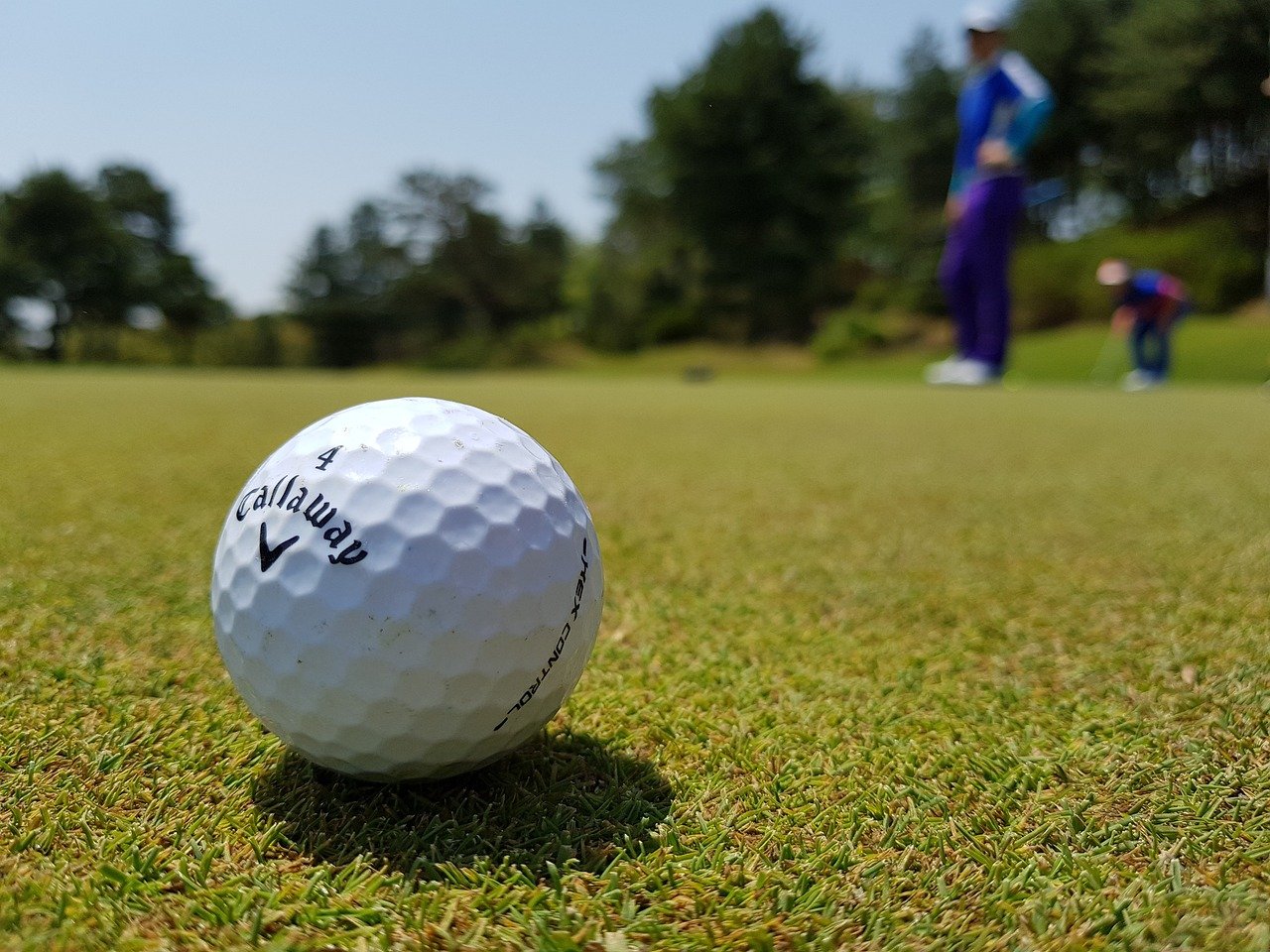Golf ball on the green